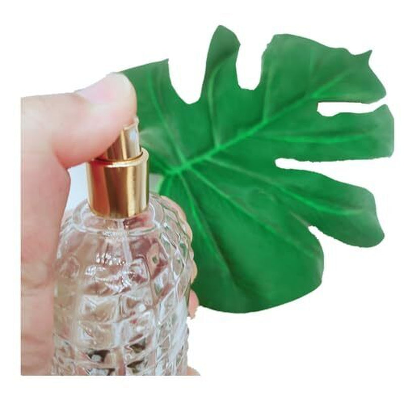 2PCS 100Ml Clear Glass Spray Perfume Refillable Bottle,3.4Oz Empty Elliptic E...
