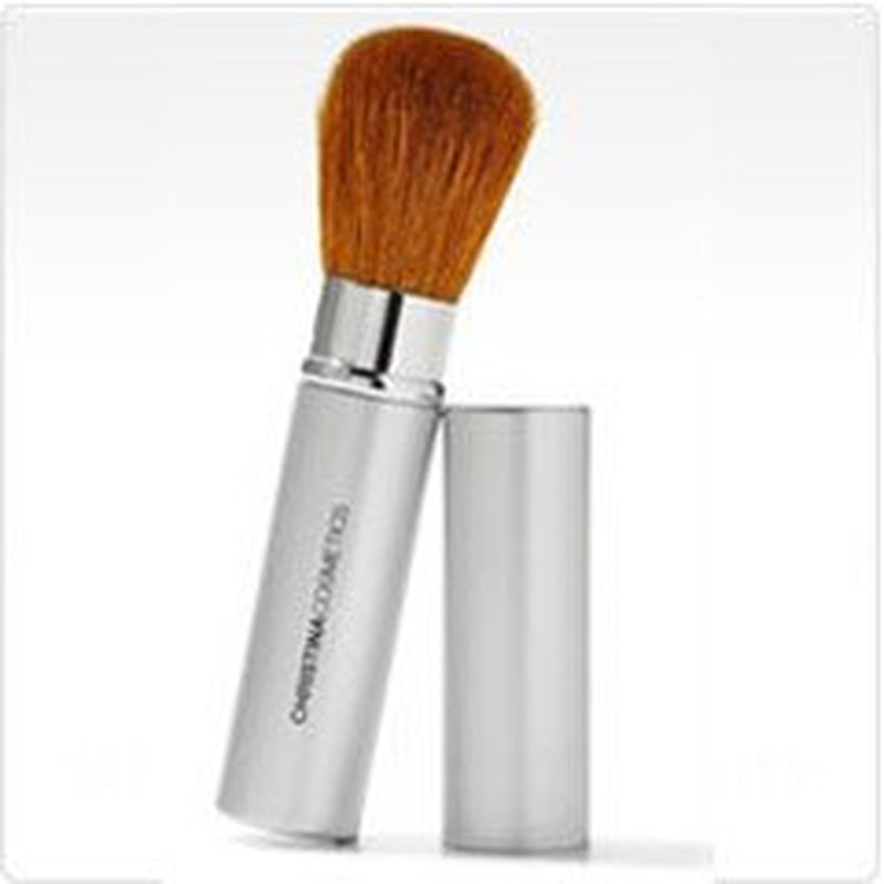 Perfect Pigment 3 Compact and Retractable Brush Duo!